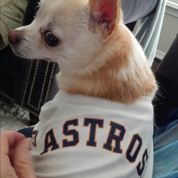 Meet your Posher, BaileyBops - Picture 4 of 6